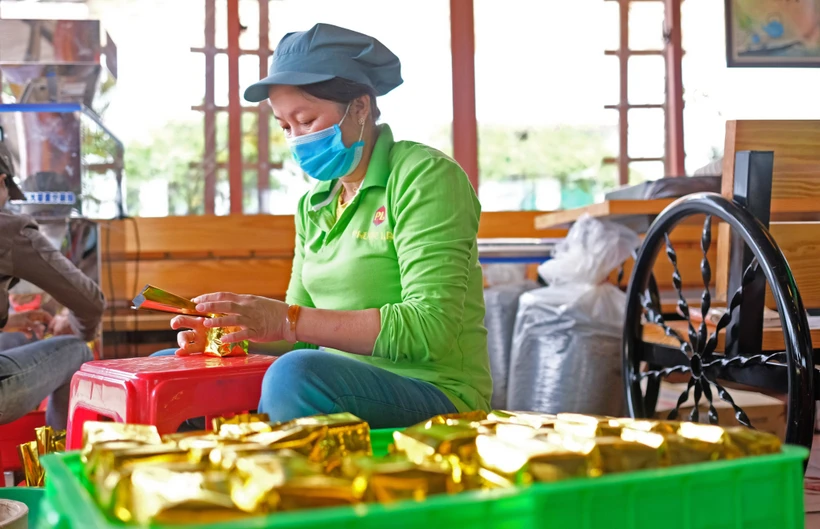Công nhân đóng gói trà Ô long, sản phẩm đã được xếp hạng OCOP 5 sao tại Công ty trà Phước Lạc (huyện Bảo Lạc, tỉnh Lâm Đồng). Ảnh: Nguyễn Dũng – TTXVN 