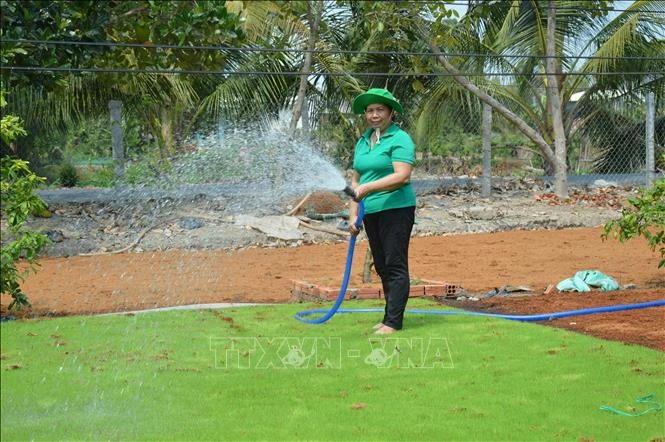  Hợp tác xã dịch vụ nông nghiệp Thạnh Lợi chuẩn bị mạ cho mùa vụ mới. Ảnh: Nhựt An - TTXVN 