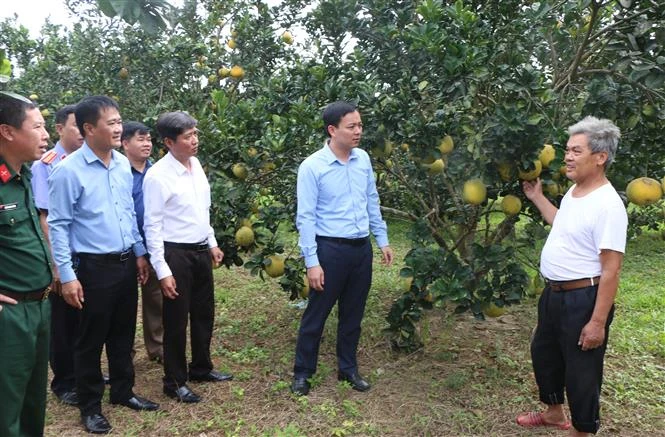 Yên Bái cơ cấu lại ngành nông nghiệp, gắn với xây dựng nông thôn mới