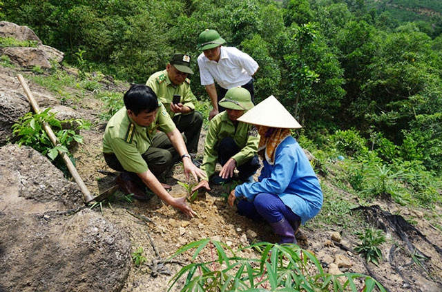 Cán bộ Chi cục Kiểm lâm tỉnh Thái Nguyên hướng dẫn người dân kỹ thuật trồng rừng. Nguồn: nhandan.vn 