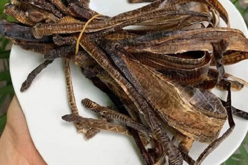 Bộ Y tế khuyến cáo: Dược liệu Địa long không có tác dụng phòng, chống COVID-19