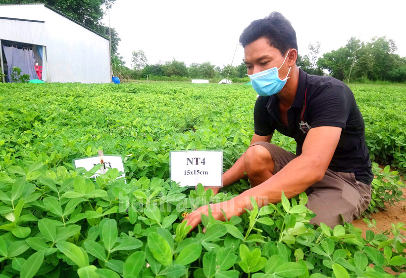 Đẩy mạnh ứng dụng khoa học công nghệ trong xây dựng nông thôn mới ở Trà Vinh