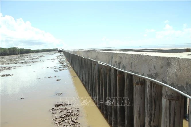 Sóc Trăng chủ động xây dựng kè ngầm chống sóng biển nhằm phòng chống thiên tai mùa mưa lũ. Ảnh: Chanh Đa-TTXVN