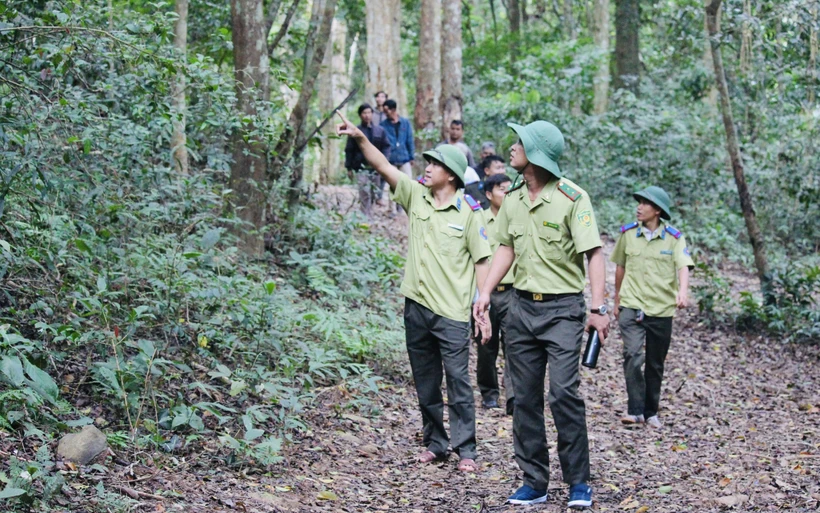 Lực lượng quản lý bảo vệ rừng trên địa bàn tỉnh Gia Lai còn nhiều khó khăn, áp lực công việc. Ảnh: TTXVN phát 