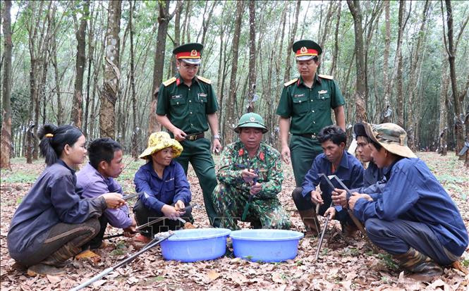 Anh Kpui Sinh, dân tộc Jrai, tổ trưởng Tổ 3, Đội 10, Công ty 74, Binh đoàn 15 (giữa, hàng trước) đảng viên người dân tộc thiểu số hướng dẫn cho công nhân cách mài dao cạo mủ cao su. Ảnh: Hồng Điệp - TTXVN