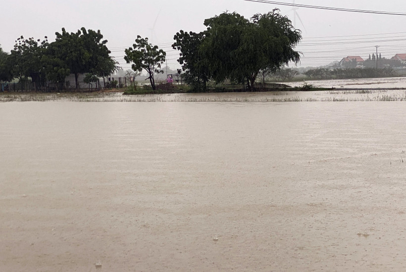Một số địa phương vùng trũng thấp ở huyện Thuận Nam bị ngập lụt do mưa lớn. Ảnh: Công Thử - TTXVN 