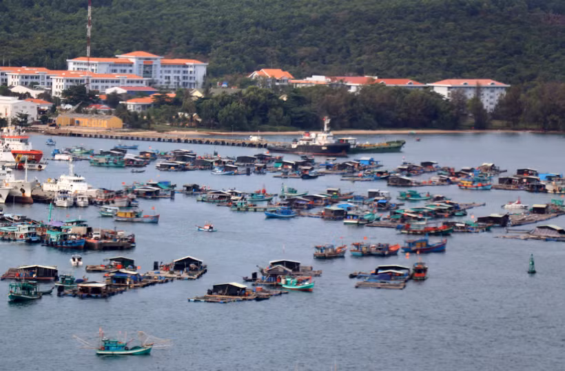 Nuôi cá lồng bè trên vùng biển An Thới, thành phố Phú Quốc (Kiên Giang). Ảnh: Lê Huy Hải - TTXVN 
