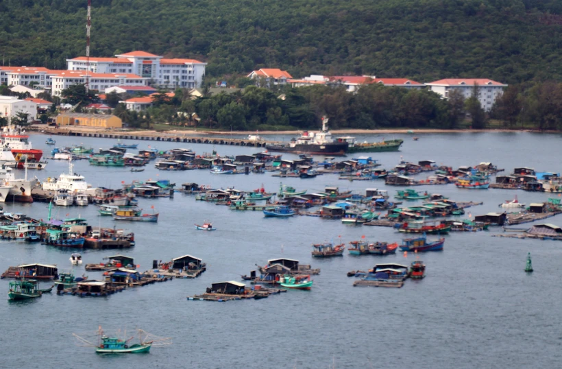 Nuôi cá lồng bè trên vùng biển An Thới, thành phố Phú Quốc (Kiên Giang). Ảnh: Lê Huy Hải - TTXVN 