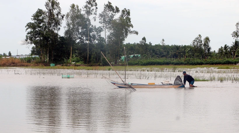 Nông dân huyện Mỹ Tú (Sóc Trăng) đẩy côn để đánh bắt thủy sản trong mùa nước nổi. Ảnh: Tuấn Phi - TTXVN 