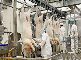 Tăng kiểm soát sản phẩm chăn nuôi nhập khẩu