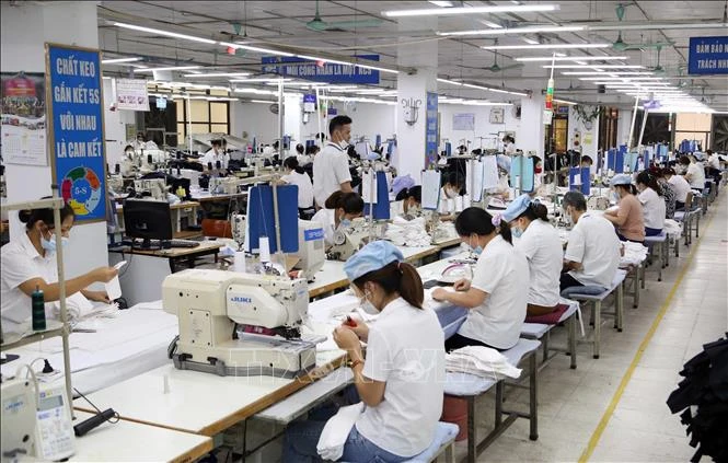 Công nhân làm việc trong xưởng may hàng xuất khẩu tại Garco 10. Ảnh: Trần Việt - TTXVN 