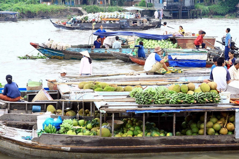 Chợ nổi tấp nập ghe xuồng với bạt ngàn đặc sản hoa trái phục vụ thị trường . Ảnh: Duy Khương – TTXVN 