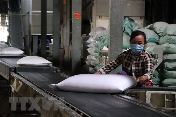 Cấp gạo cho 3 tỉnh hỗ trợ nhân dân dịp Tết Nguyên đán