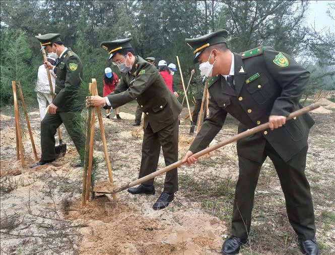 Các lực lượng trồng cây trên bãi biển xã Quang Phú (Quảng Bình). Ảnh: Đức Thọ - TTXVN 