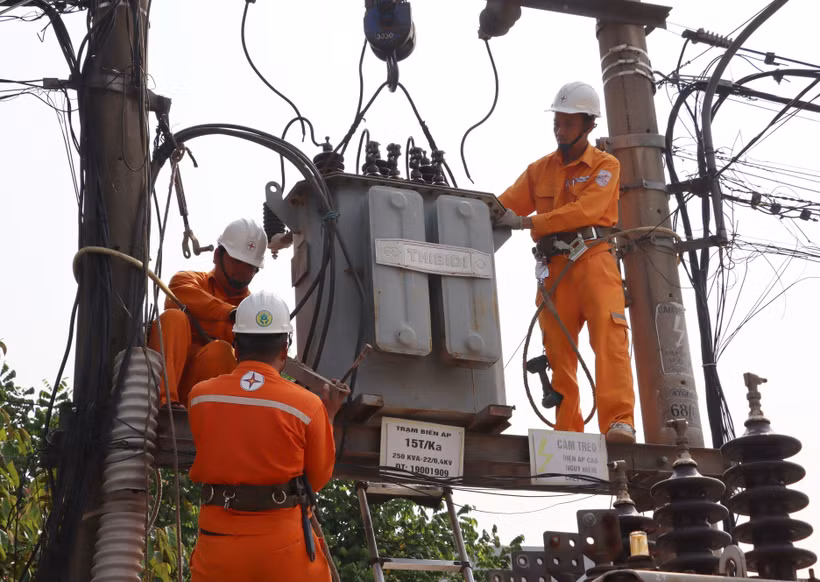 Công ty Điện lực Quảng Bình triển khai kiểm tra, sửa chữa mạng lưới điện. Ảnh: TTXVN phát 