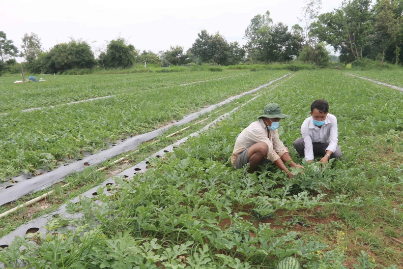 Trà Vinh xây dựng, nhân rộng các mô hình, dự án hỗ trợ hộ nghèo
