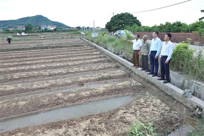 Tổ dân vận, cán bộ xã thôn Thanh Sơn, xã Đông Phú, huyện Lục Nam đã thực hiện tốt quy chế dân chủ trong chính sách dồn điền đổi thửa. Ảnh: Danh Lam-TTXVN 