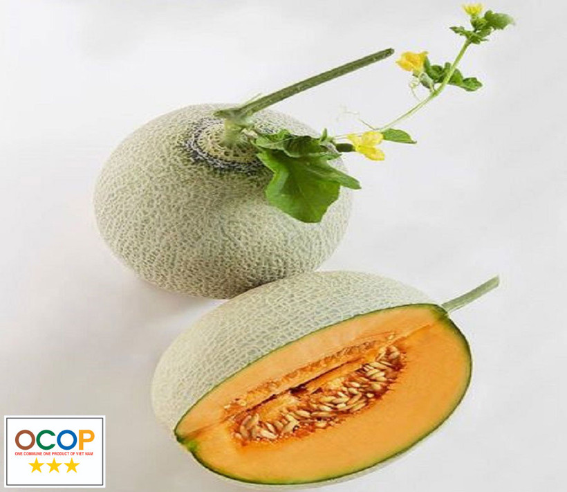 Sản phẩm dưa lưới ô xanh đạt tiêu chuẩn OCCOP ở Khánh Hòa. Ảnh : chonongsankhanhhoa.vn