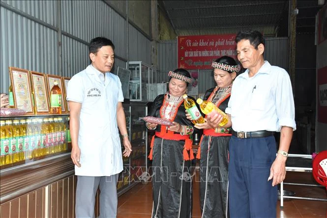 Dầu lạc đỏ Thái Sơn, lạc ri vỏ đỏ Thái Sơn của Hợp tác xã Thái Sơn được các khách hàng ưa chuộng. Ảnh: Việt Dũng - TTXVN