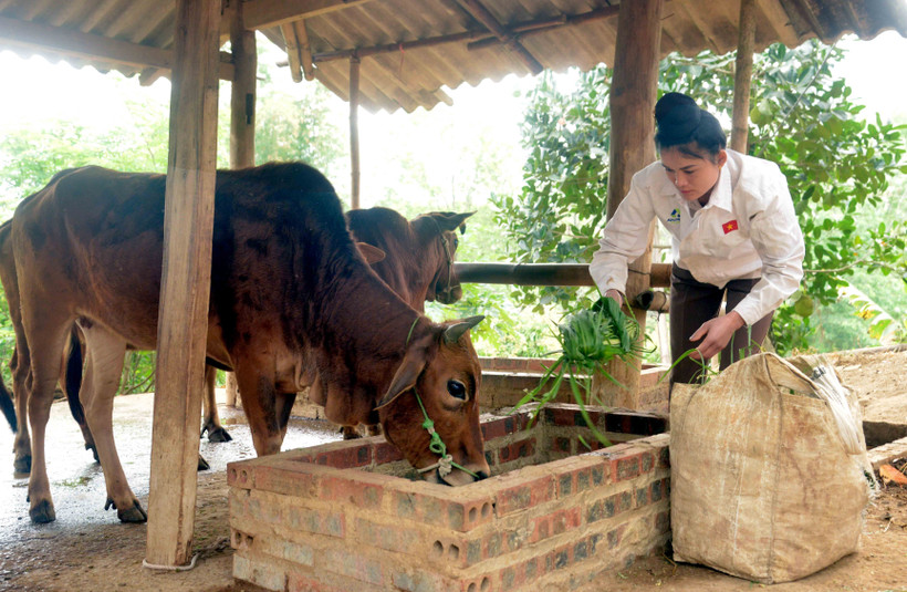 Sơn La: Vốn chính sách thành điểm tựa cho phụ nữ vùng cao