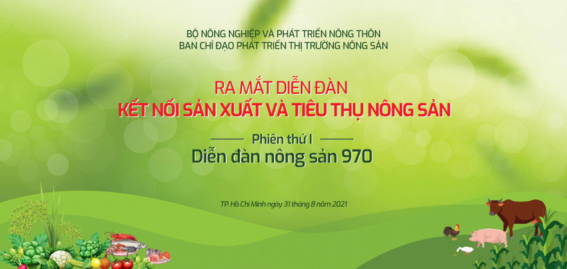 Hội Chữ thập đỏ thành phố Vĩnh Long chung tay tiêu thụ khoai lang tím Nhật của nông dân huyện Bình Tân. Ảnh: Phạm Minh Tuấn-TTXVN 