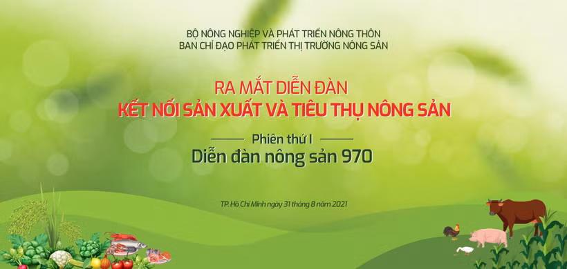 Hội Chữ thập đỏ thành phố Vĩnh Long chung tay tiêu thụ khoai lang tím Nhật của nông dân huyện Bình Tân. Ảnh: Phạm Minh Tuấn-TTXVN 