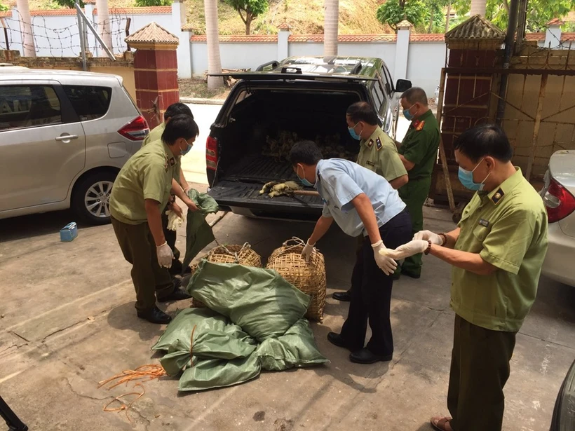 Hậu Giang kiểm soát vận chuyển gia cầm trái phép