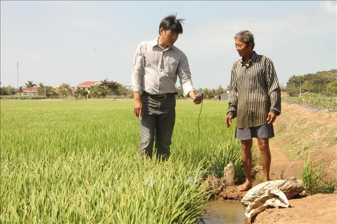 Cán bộ Thủy lợi ở huyện Trần Đề luôn cập nhật tình hình độ mặn ngay tại ruộng. Ảnh: Chanh Đa-TTXVN