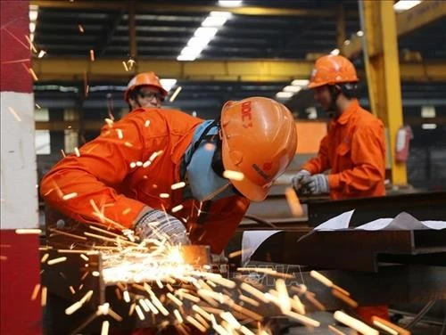 Đào tạo nghề đáp ứng nhu cầu phát triển. Ảnh : TTXVN