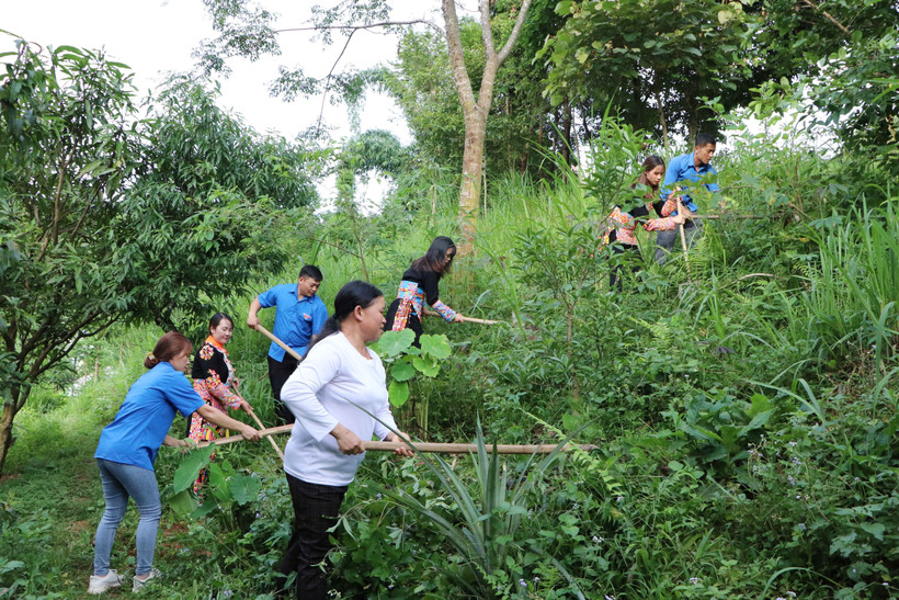 Trí thức trẻ tình nguyện tại Đoàn Kinh tế - Quốc phòng 356 (Phong Thổ, Lai Châu) giúp người dân phát triển kinh tế. Ảnh: Đinh Thùy – TTXVN