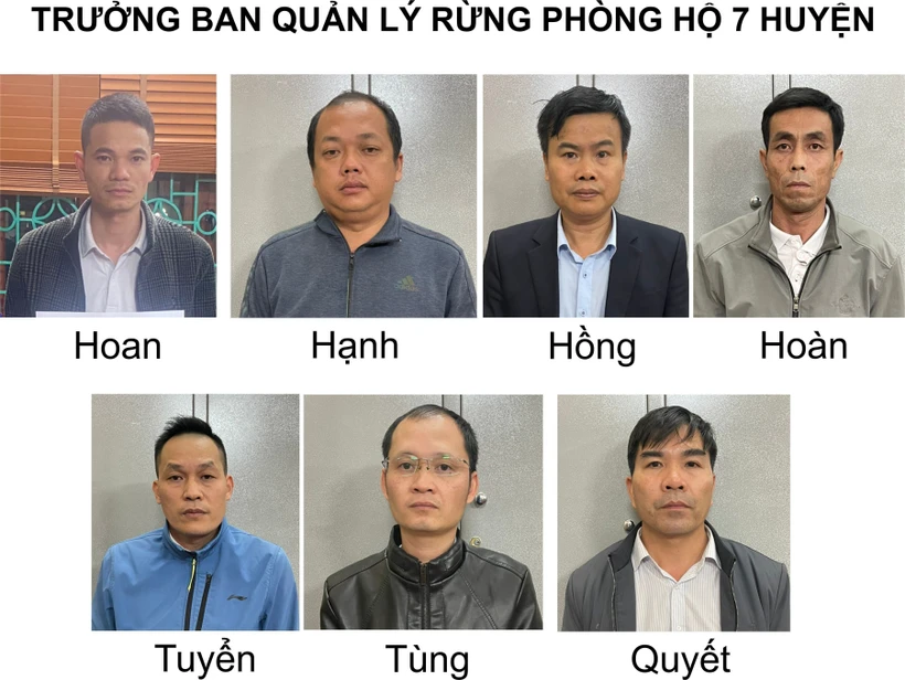 Bắt vụ đưa, nhận hối lộ hàng trăm triệu đồng khi thanh tra các dự án trồng rừng ở Lai Châu