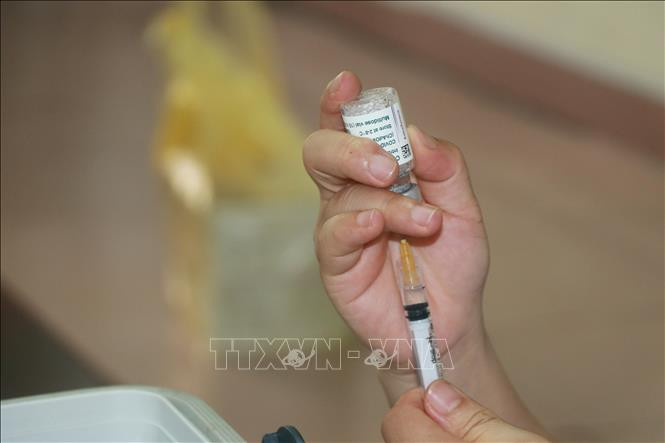 Vaccine phòng COVID-19 được Ngành Y tế bảo quản đúng quy định. Ảnh: Văn Đạt - TTXVN 