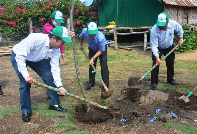Đắk Lắk phát động toàn dân trồng, chăm sóc rừng và chống các hành vi vi phạm công tác bảo vệ, phát triển rừng