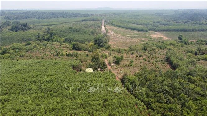 Thu hoạch cà phê ở Gia Lai. Ảnh: Hồng Điệp - TTXVN Một bên là địa giới hành chính tỉnh Bình Phước với những khu đất đang được canh tác nông nghiệm và một bên là vùng lõi của Khu bảo tồn thiên nhiên văn hóa Đồng Nai. Ảnh: Sỹ Tuyên – TTXVN