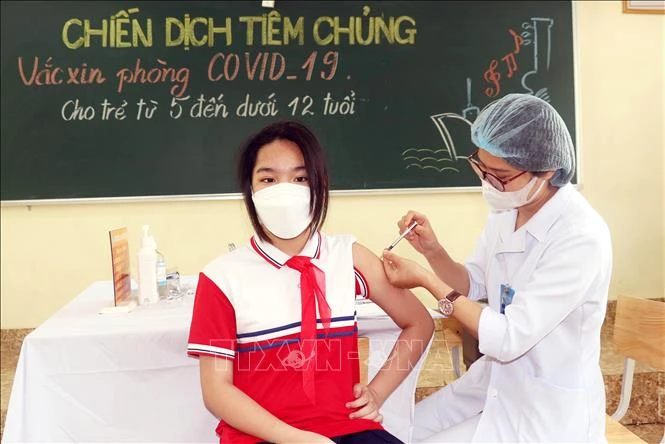 Tiêm vaccine cho học sinh lớp 6. Ảnh: Văn Đức - TTXVN 