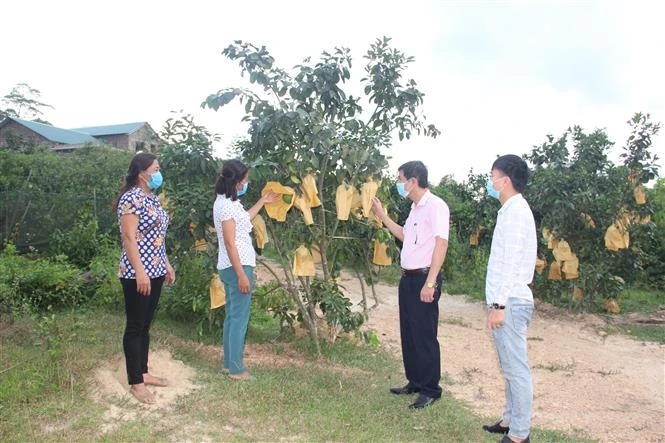 Tín dụng chính sách xã hội góp phần hỗ trợ phát triển, đa dạng hóa sinh kế và nhân rộng mô hình giảm nghèo