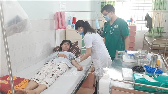 Bệnh nhân sốt xuất huyết được điều trị tại Bệnh viện đa khoa tỉnh Gia Lai. Ảnh: Hoài Nam - TTXVN