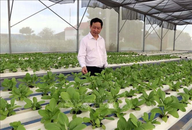 Đặt mục tiêu đến năm 2025 thành lập mới 10.000 tổ chức kinh tế tập thể