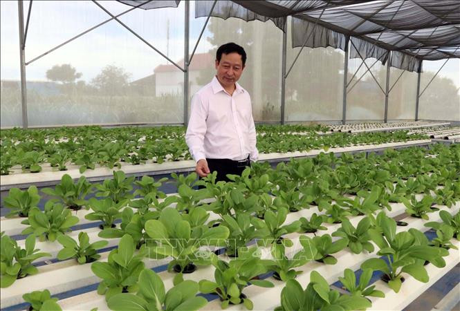 Đặt mục tiêu đến năm 2025 thành lập mới 10.000 tổ chức kinh tế tập thể