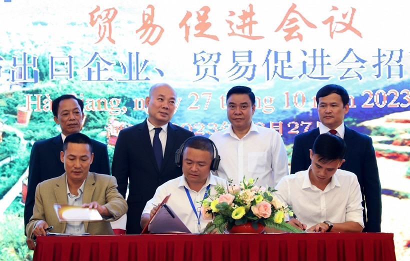 Lễ ký kết tiêu thụ chè giữa doanh nghiệp của tỉnh Hà Giang với doanh nghiệp tỉnh Vân Nam (Trung Quốc). Ảnh: TTXVN phát 