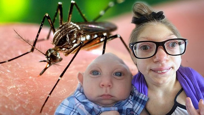 Muỗi Aedes là vật trung gian truyền bệnh.Ảnh : medlatec.vn