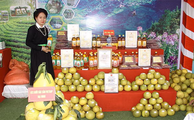 Các sản phẩm OCOP của tỉnh được tự hào giới thiệu tại nhiều sự kiện trong và ngoài tỉnh. Ảnh :baoyenbai.com.vn 