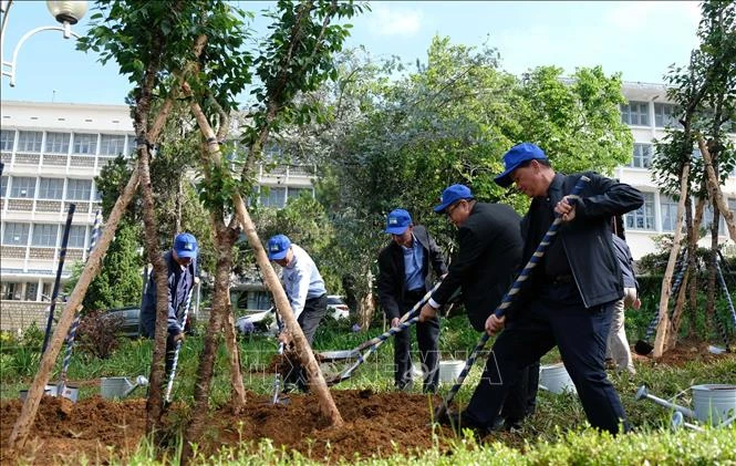 Lãnh đạo tỉnh Lâm Đồng cùng các đại biểu trồng cây ngay sau lễ phát động. Ảnh: Nguyễn Dũng – TTXVN