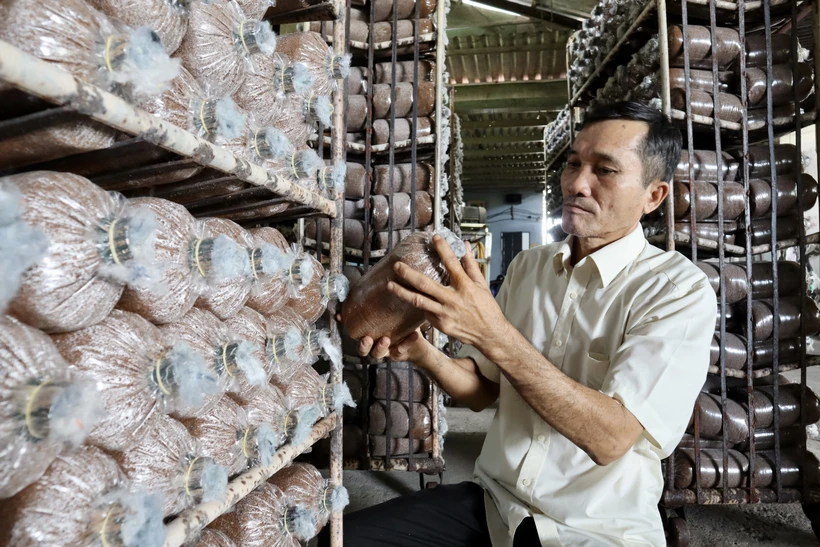 Ông Bùi Văn Mười, chủ cơ sở “Nấm 10 Sài Gòn”đã được UBND Thành phố Hồ Chí Minh tặng Bằng khen vì "Đã có thành tích xuất sắc trong phong trào nông dân thi đua sản xuất kinh doanh giỏi đoàn kết giúp nhau làm giàu và giảm nghèo bền vững giai đoạn 2017 - 2021