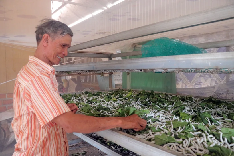 Cụ K’Biếu, già làng của buôn là người đầu tiên đưa con tằm về với buôn Klong Tum. Ảnh: Chu Quốc Hùng-TTXVN 