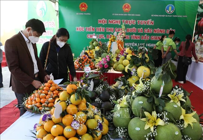 Các đại biểu tham quan các giảng hàng trưng bày nông sản trưng bày tại hội nghị. Ảnh: Danh Lam-TTXVN 