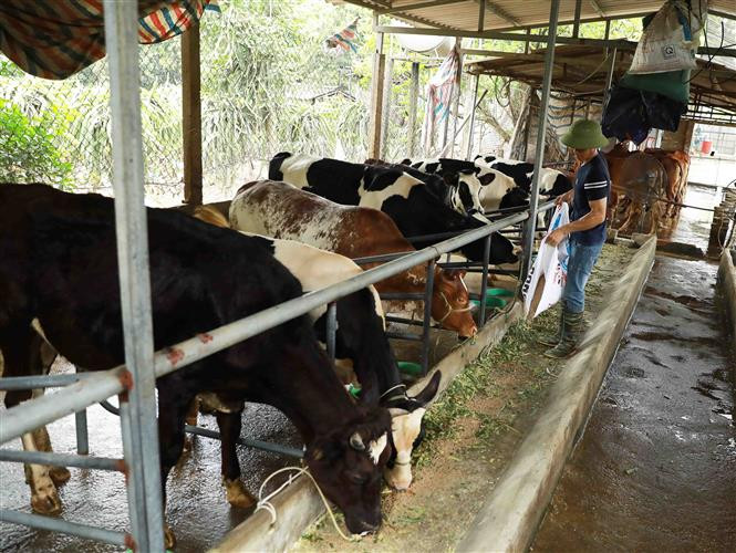 Sẽ có các chính sách cho kinh tế trang trại phát triển