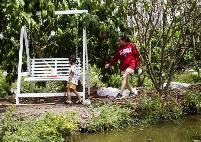Du khách trải nghiệm không gian sinh thái trong vườn dâu. Ảnh: Hồng Đạt - TTXVN