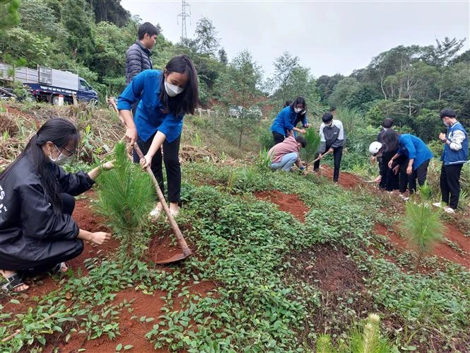 Tuổi trẻ Kon Tum ra quân trồng cây xanh tạo cảnh quan, bảo vệ môi trường sinh thái