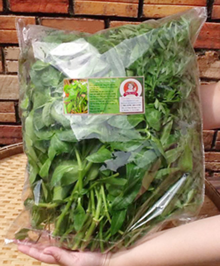 Rau rừng Tây Ninh. Ảnh : dacsancotu.com